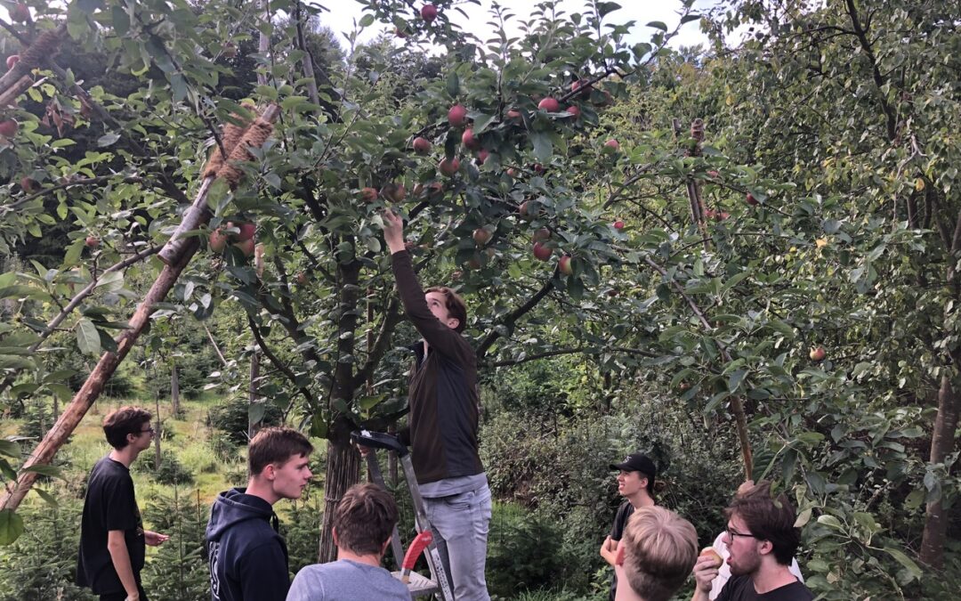 Saftladen am GBN schließt erfolgreiche Saftkampagne ab