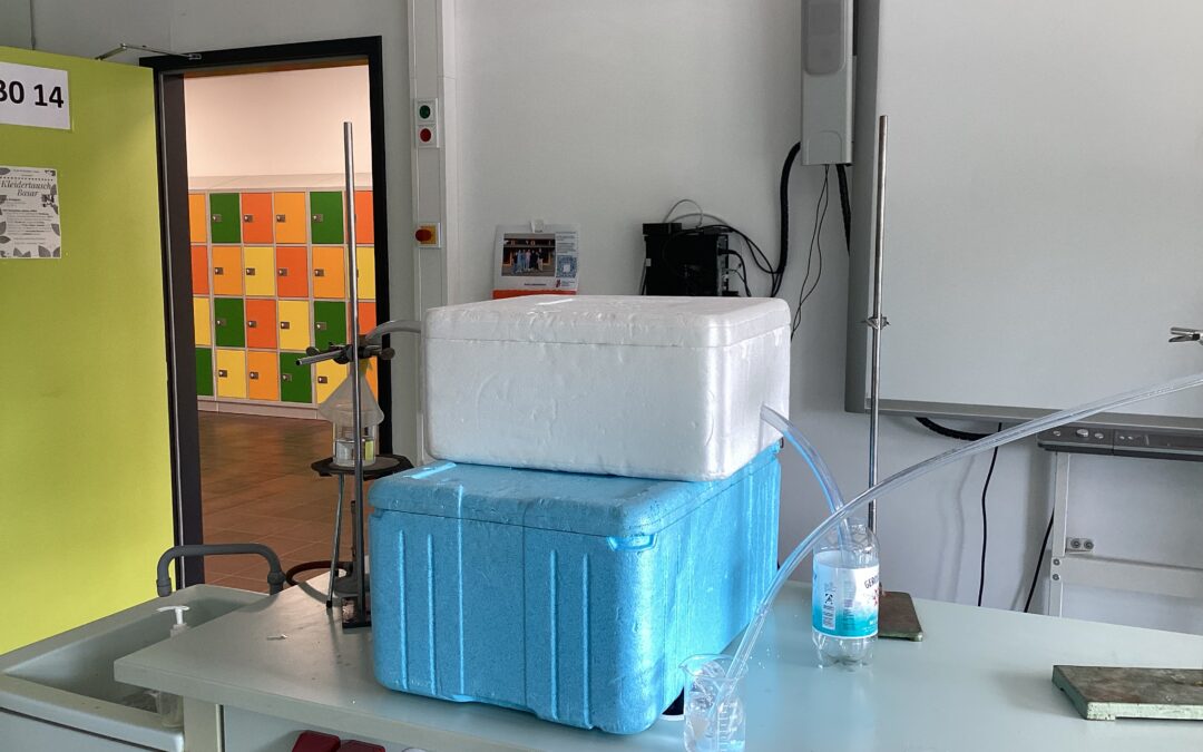 Projekt: Trinkwassergewinnung und Aufbereitung