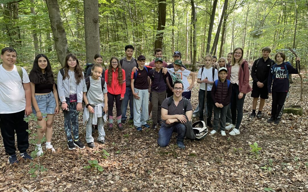Wunderwelt Wald